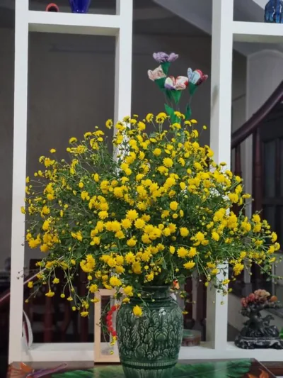 May's Cottage – 照片 4
