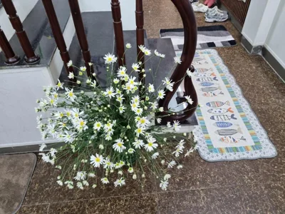 May's Cottage – 照片 6