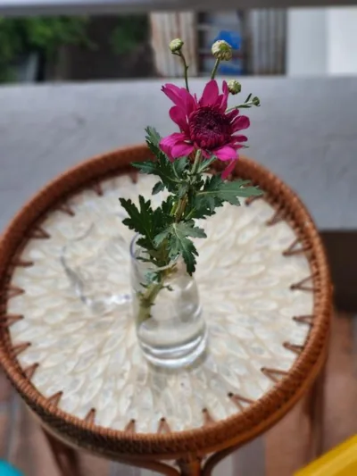 May's Cottage – 照片 15